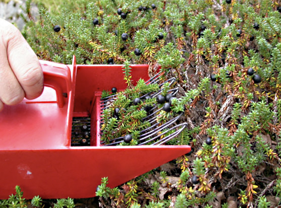 Screen Shot 2020-03-23 at 2.06.55 PM copy